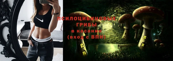 МДПВ Армянск