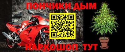 прущие грибы Беслан