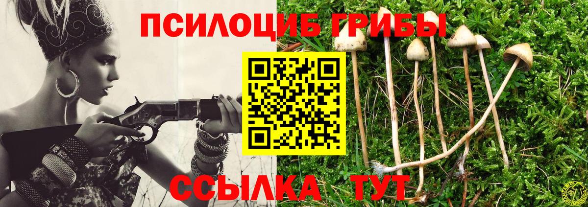 Псилоцибиновые грибы MAGIC MUSHROOMS Белебей