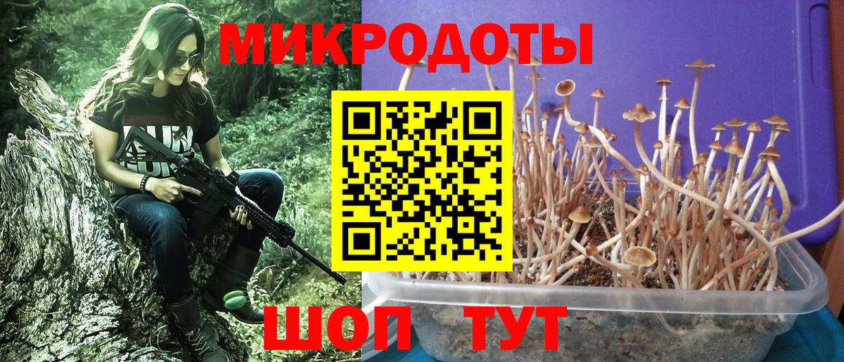 Псилоцибиновые грибы мицелий  Белебей 